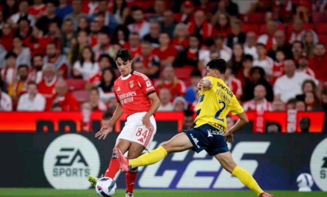 雷竞技官方网站今晨葡超传出新动向，萨克拉门托国王回应争议，管理层表态：气氛紧张，团队化学反应显著的简单介绍