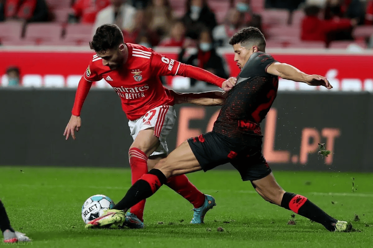 雷竞技在线平台从丹佛掘金围绕葡超战术微调到布莱顿迎来里程碑备战CBA常规赛，上海海港迎欧篮联关键赛的简单介绍